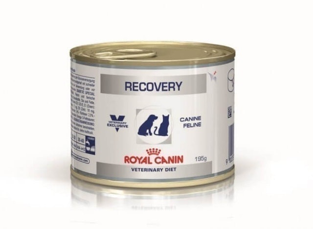 Royal Canin Recovery 1