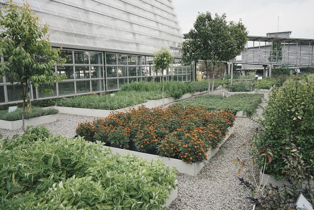 Rumah Atsiri Indonesia 1