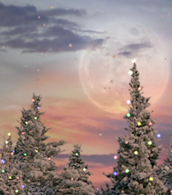 Kittehface Software Snowfall Free Live Wallpaper 1