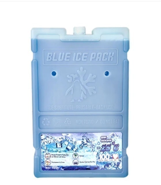 Cool Pack  Blue Ice Pack 1
