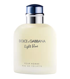 Dolce & Gabbana Light Blue Pour Homme 1