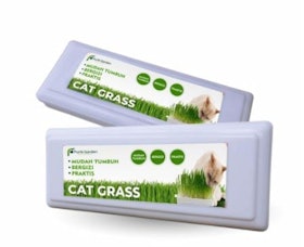 Purie Garden Cat Grass 1