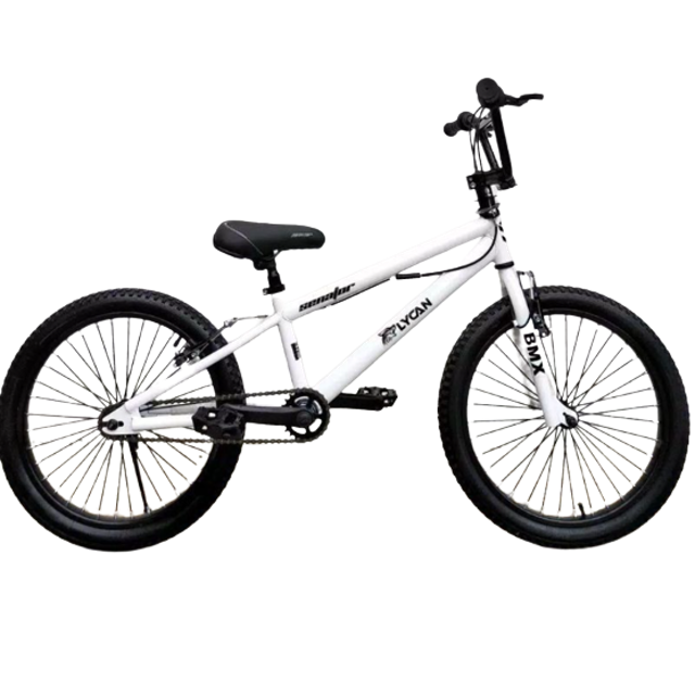 10 Rekomendasi Sepeda BMX Terbaik 