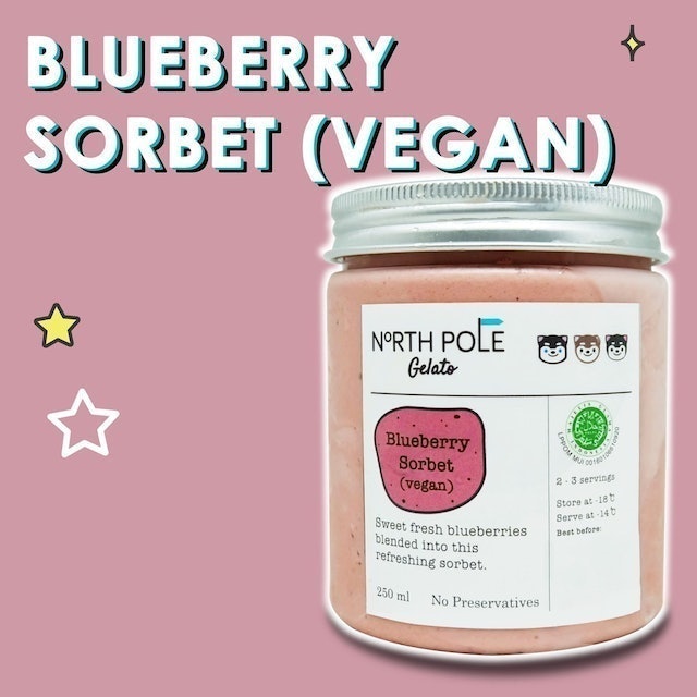 North Pole Gelato Blueberry Sorbet (Vegan) - Ice Cream 1