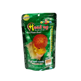 Okiko Head Up Huncher 1