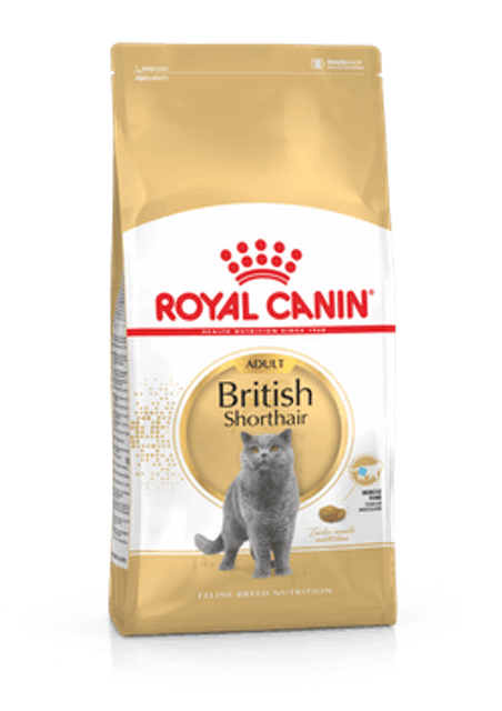 Royal Canin British Shorthair 1