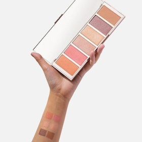 SASC Perfect Eye & Face Palette 1