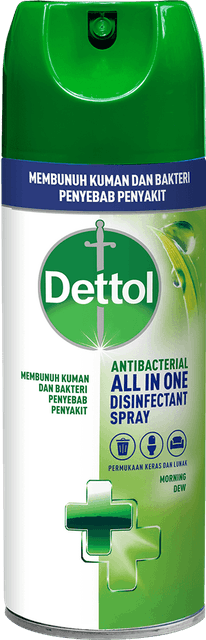 Reckitt Benckiser Spray Disinfektan Anti Bakteri Dettol Morning Dew 1