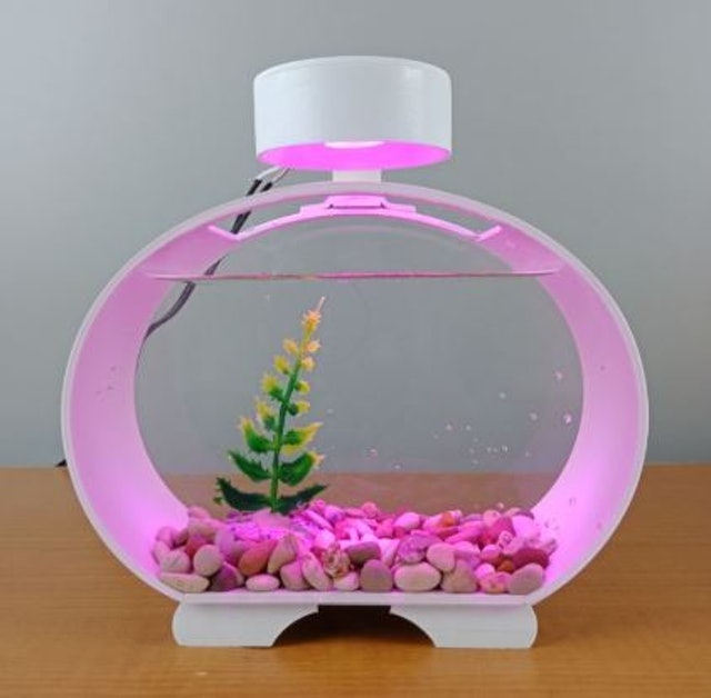 Akuarium Akrilik Mini Ikan Cupang Solitare 1