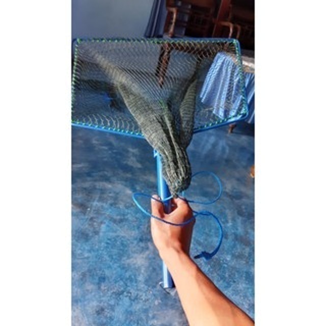 Serokan Brojol Ikan Besar 1