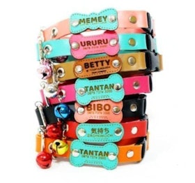 Pet Tag Collar Set Custom 1