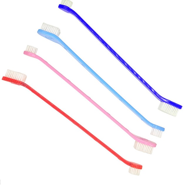 Sikat Gigi Anjing Kucing Musang 1