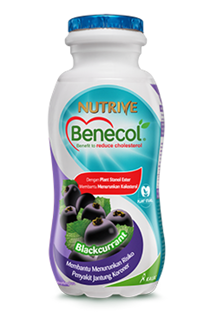 Kalbe Nutrive Benecol Blackcurrant 1