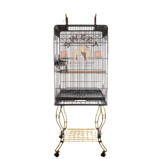 Dayang Kandang Burung Parrot 1