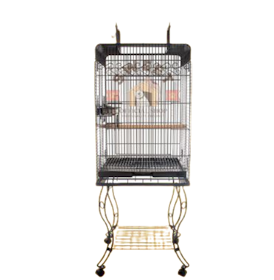 Dayang Kandang Burung Parrot 1