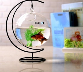 Hanging Fish Tank 1