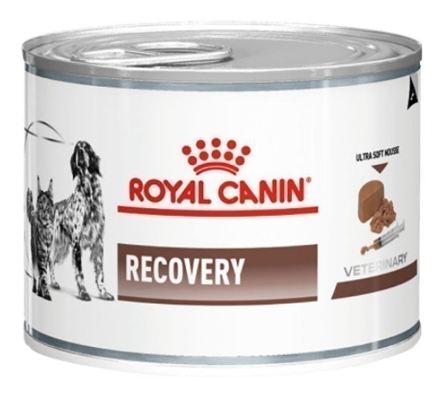 ROYAL CANIN Recovery Can 1