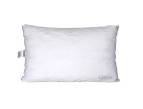 Clarissa Clarissa Bantal Nano Microfibre 1