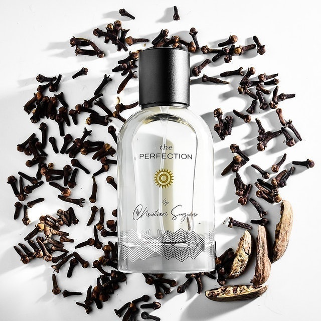 HMNS The Perfection 1