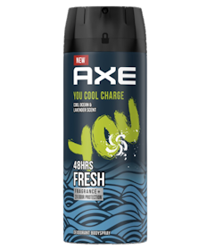 Unilever AXE You Cool Charge Deodorant 1