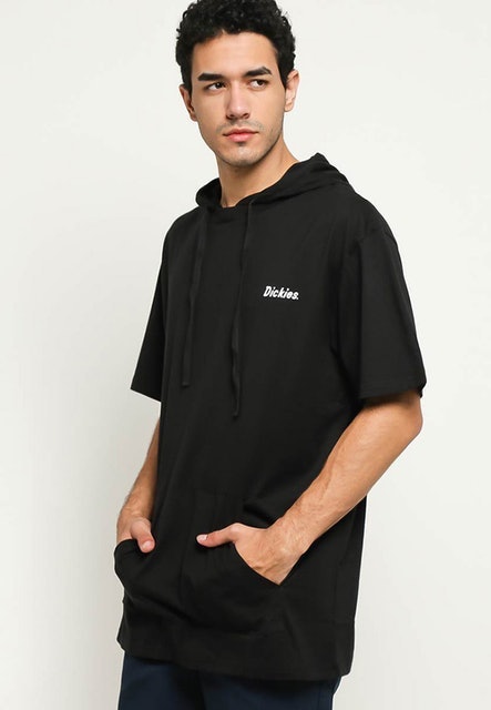 Dickies STARK 1