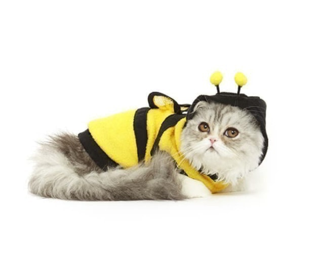 Baju Kucing Model Lebah 1