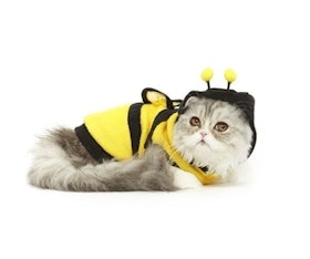 Baju Kucing Model Lebah 1