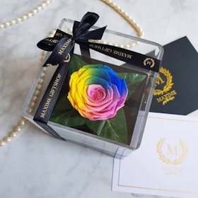 Maxime Giftshop Le Mini (Rainbow) 1