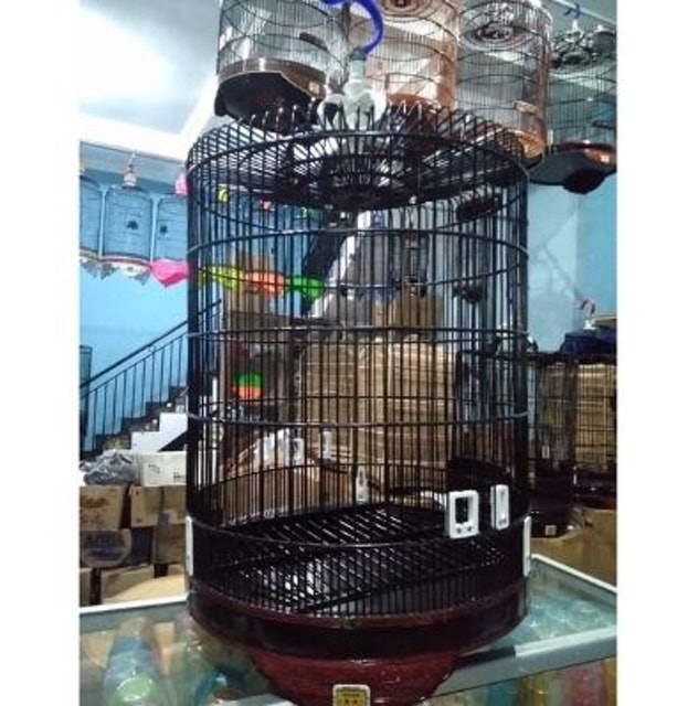 Oriq Jaya Sangkar Burung Klasik Murai Batu 1