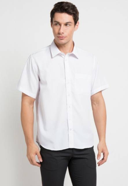 10 Merk  Kemeja  Putih  Polos Terbaik untuk Pria Terbaru 