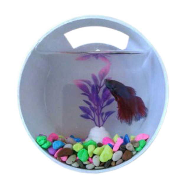 Aquarium Dinding Mini Bentuk Tabung Bahan PVC dan Akrilik 1