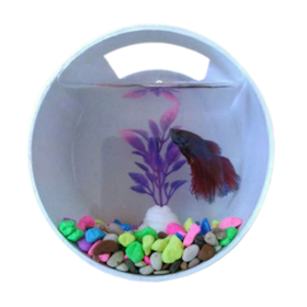 Aquarium Dinding Mini Bentuk Tabung Bahan PVC dan Akrilik 1