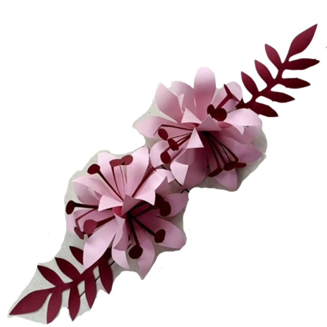 Hida Paperflower Lily Paper Flower 1