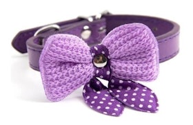 Kalung Anjing Kucing Pita Mini 1