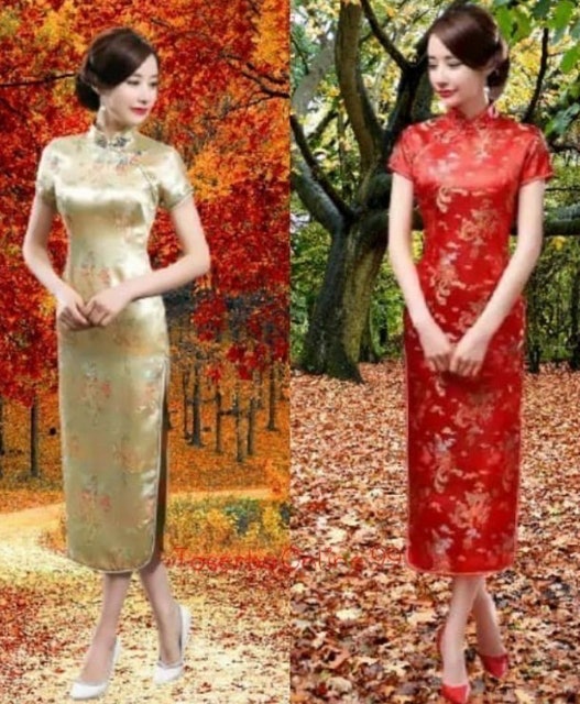 Qipao Long Dress Dragon Phoenix 1