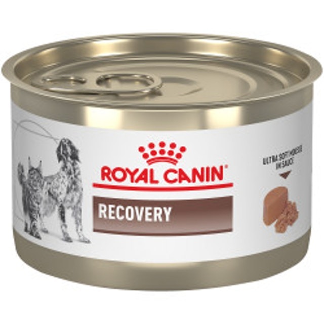 Mars ROYAL CANIN® Recovery Ultra Soft Mousse in Sauce Canned Cat and Dog Food 1
