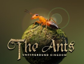 Star Union The Ants: Underground Kingdom 1