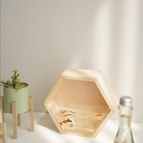 Hexagon Mini Aquascape 1