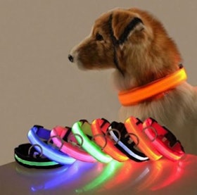 LED Pet Collar 1