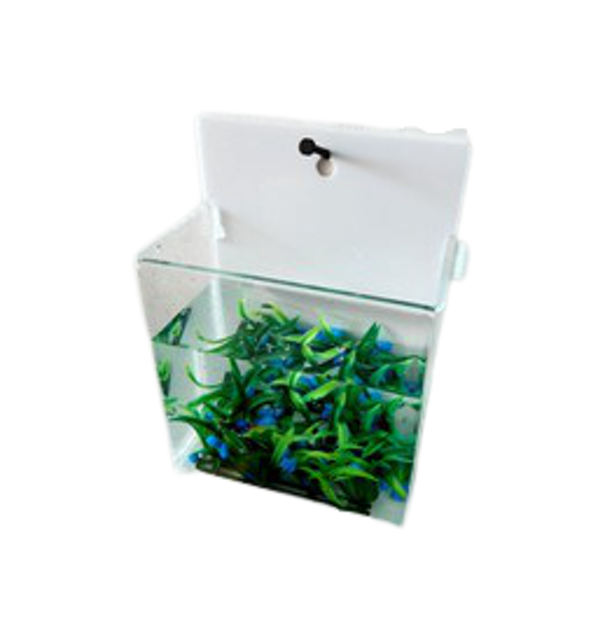 Aquarium Cupang Gantung 1