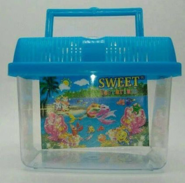 Small Aquarium Sweet Terrarium 1