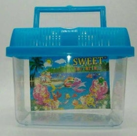 Small Aquarium Sweet Terrarium 1