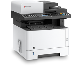 Kyocera Ecosys 1