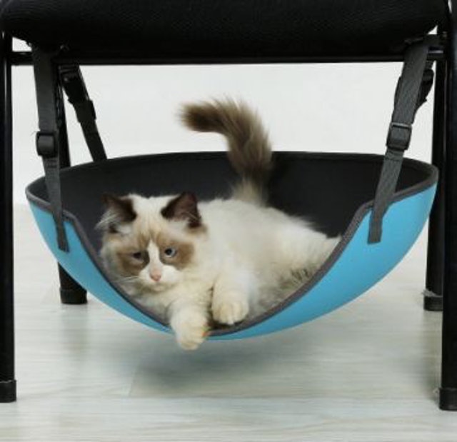 Cat Hammock 1