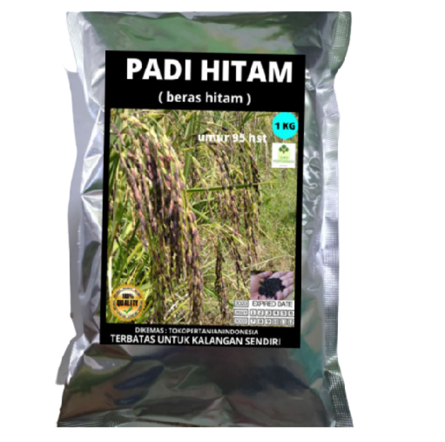 Toko Pertanian Indonesia Benih Padi Hitam Organik 1