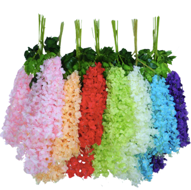 Kunataruma Wisteria Jumbo Daun Rambat 1