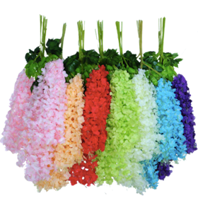 Kunataruma Wisteria Jumbo Daun Rambat 1