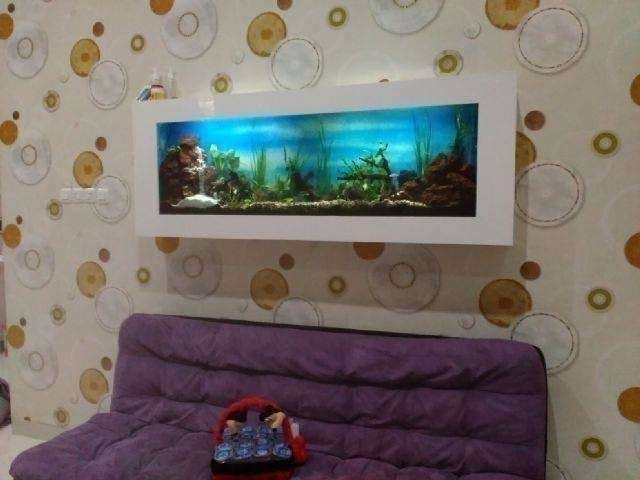 Wallaquascape Paket Modern Ukuran M 1