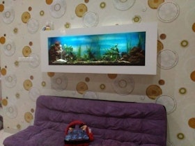 Wallaquascape Paket Modern Ukuran M 1