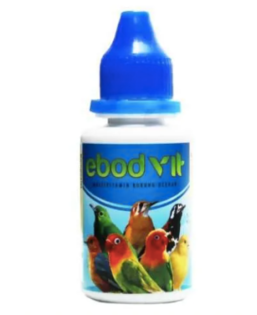 Ebod Jaya Ebod Vit 1